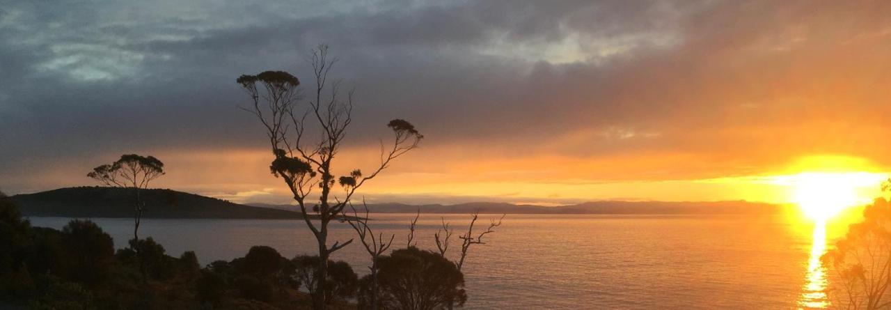 Chill Tasmania Villa White Beach Exterior foto
